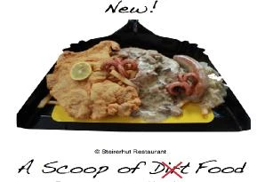 ScoopofFood