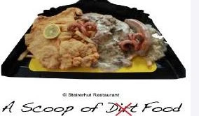 scoopoffood